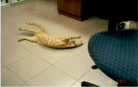 *hunter*