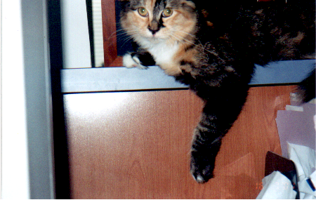 *jade*